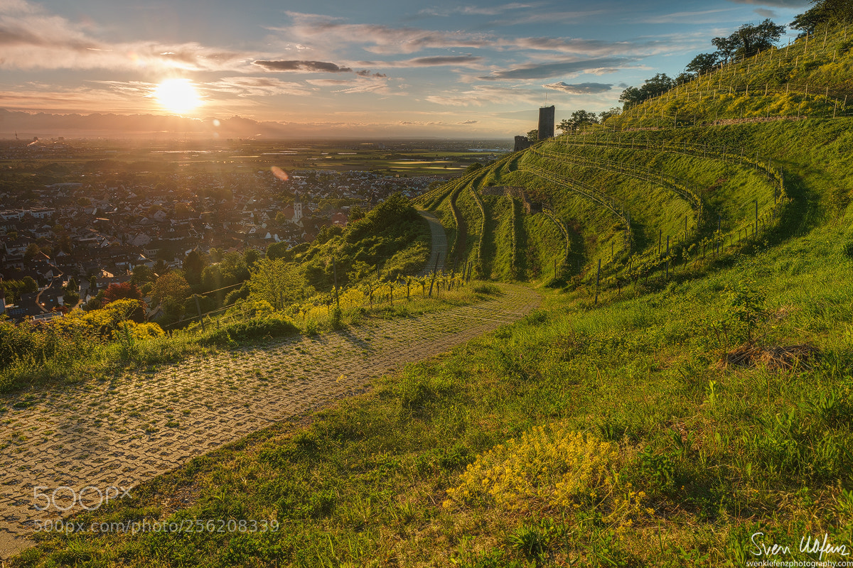 Sony a7 sample photo. Strahlenburg photography