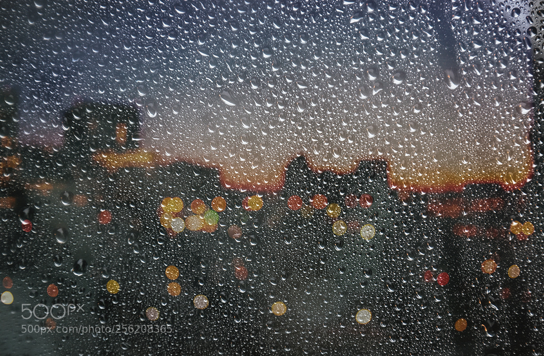 Nikon D7100 sample photo. Rainy day photography