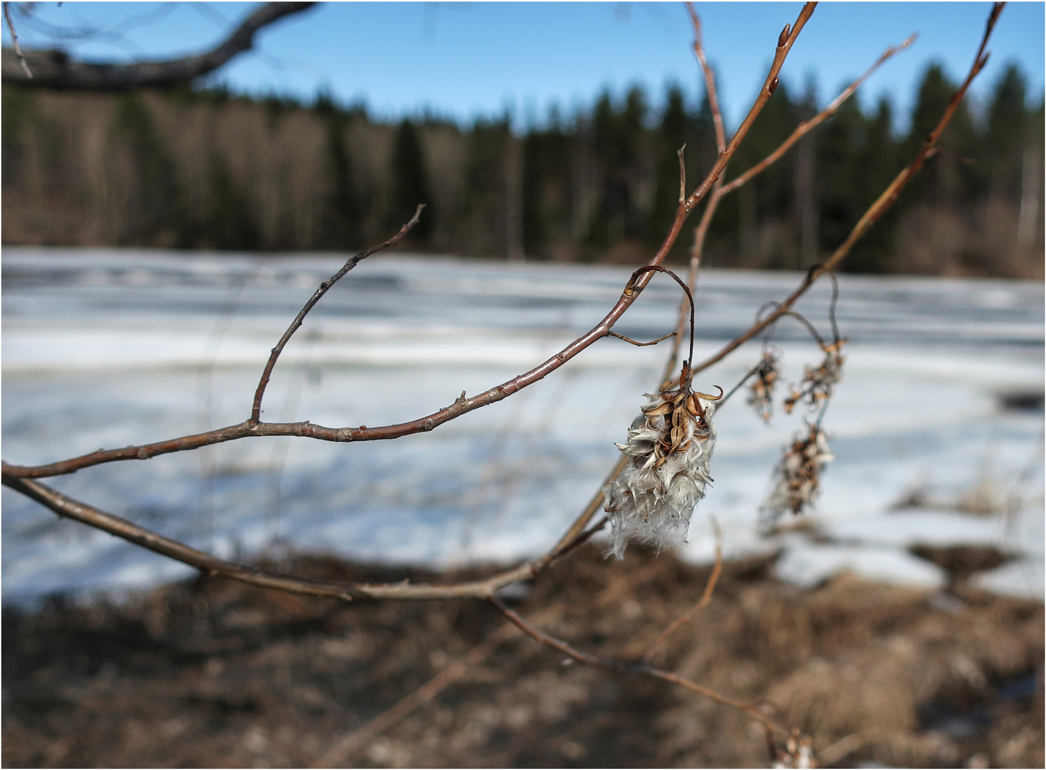 Canon PowerShot G9 X Mark II sample photo. ********** photography