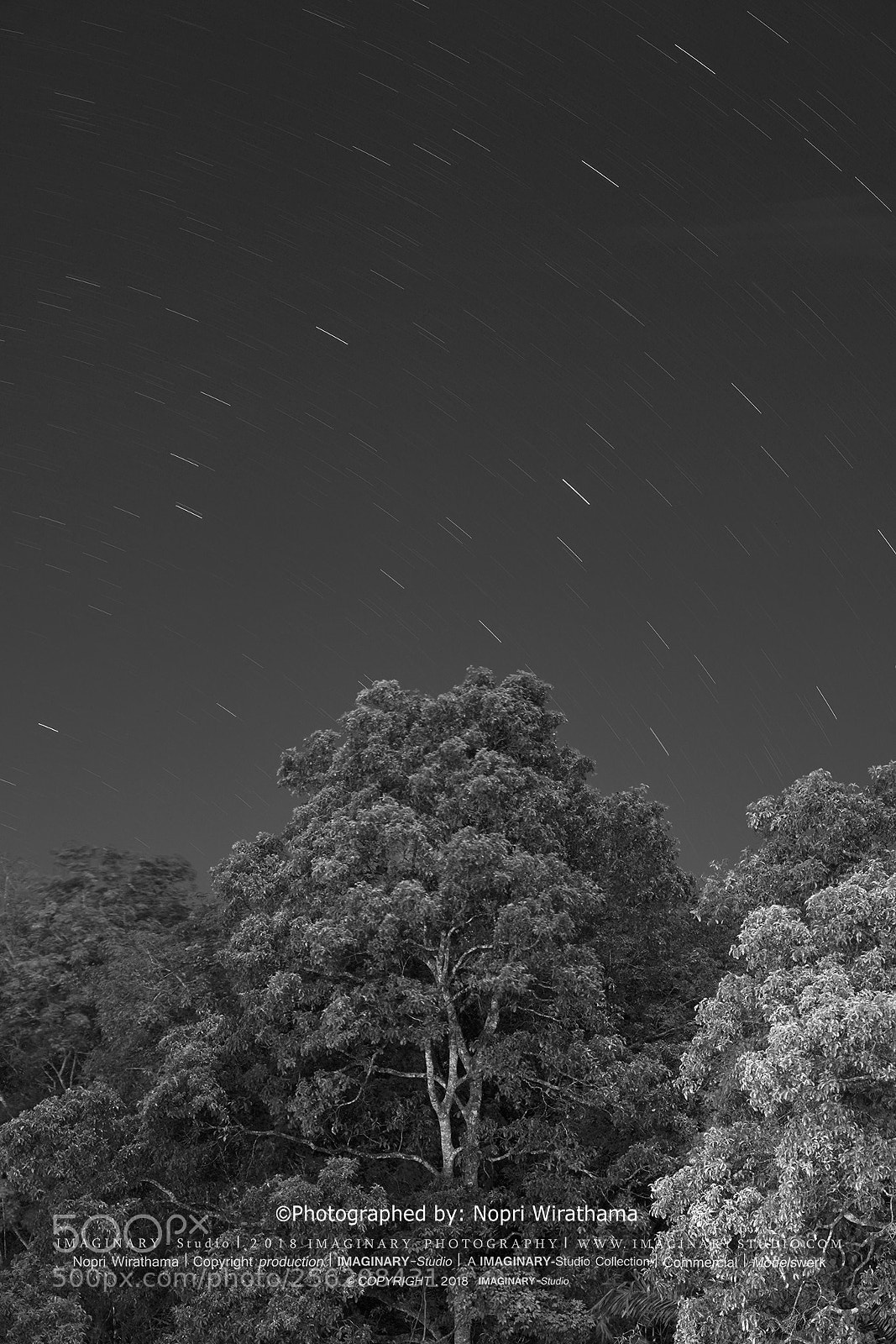 Sony a7R III sample photo. Bnw ir photography