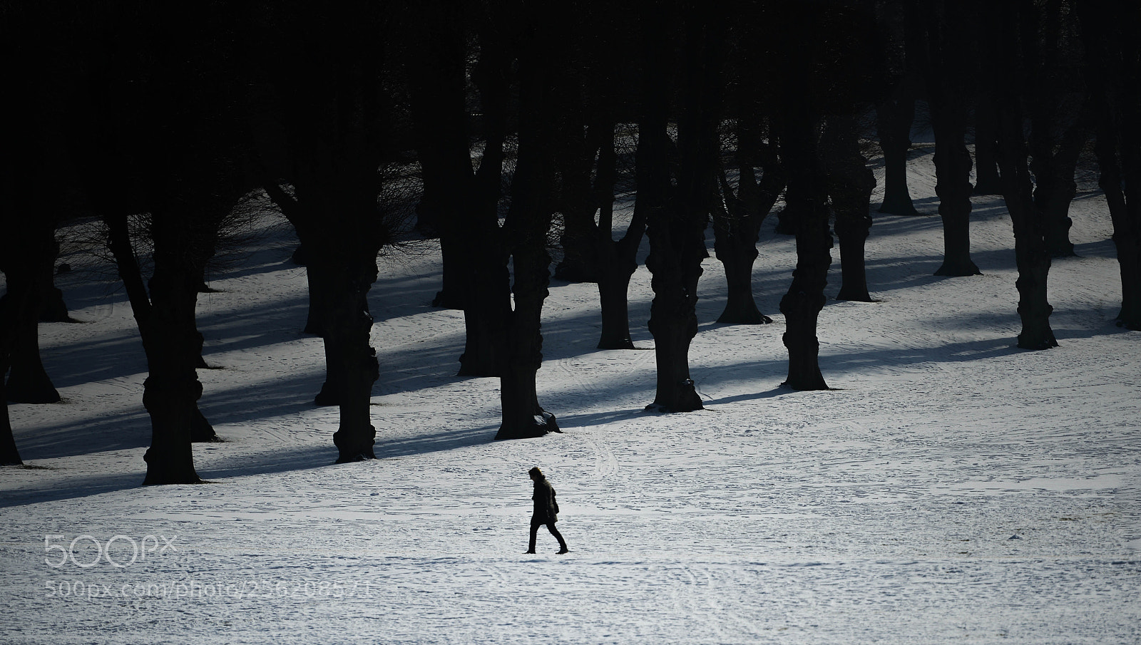 Nikon D800 sample photo. Photo story photography