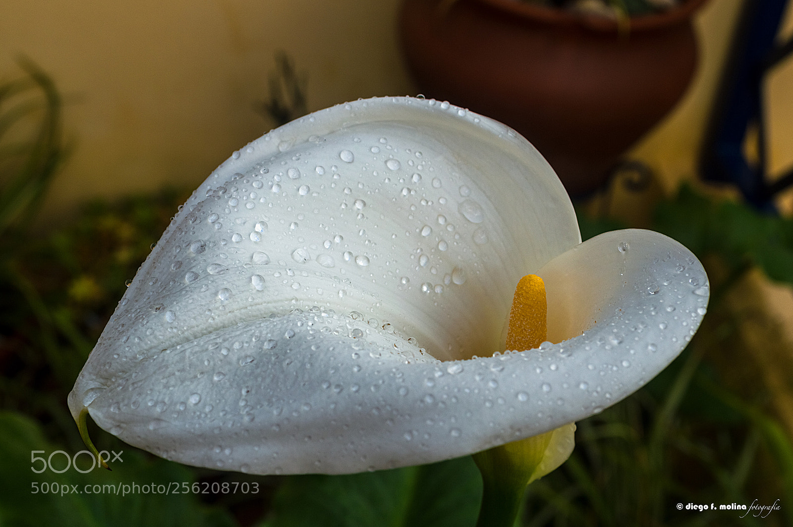 Nikon D3200 sample photo. Al amanecer photography