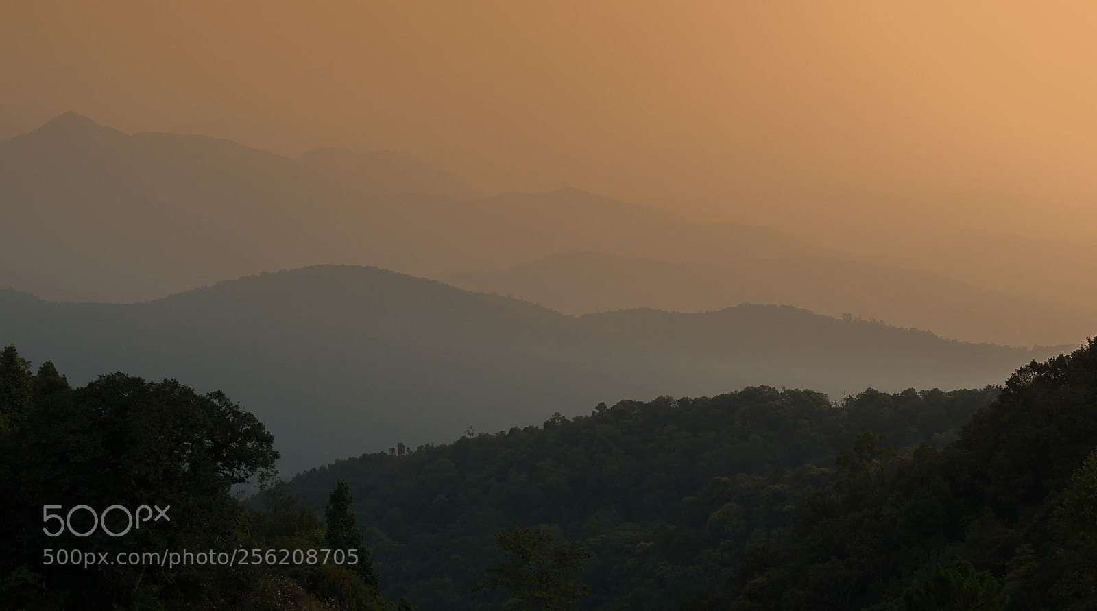 Nikon D800E sample photo. The layers photography