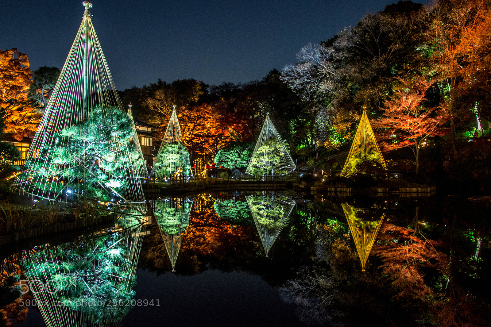 Nikon D7200 sample photo. Japanese garden in autumn photography