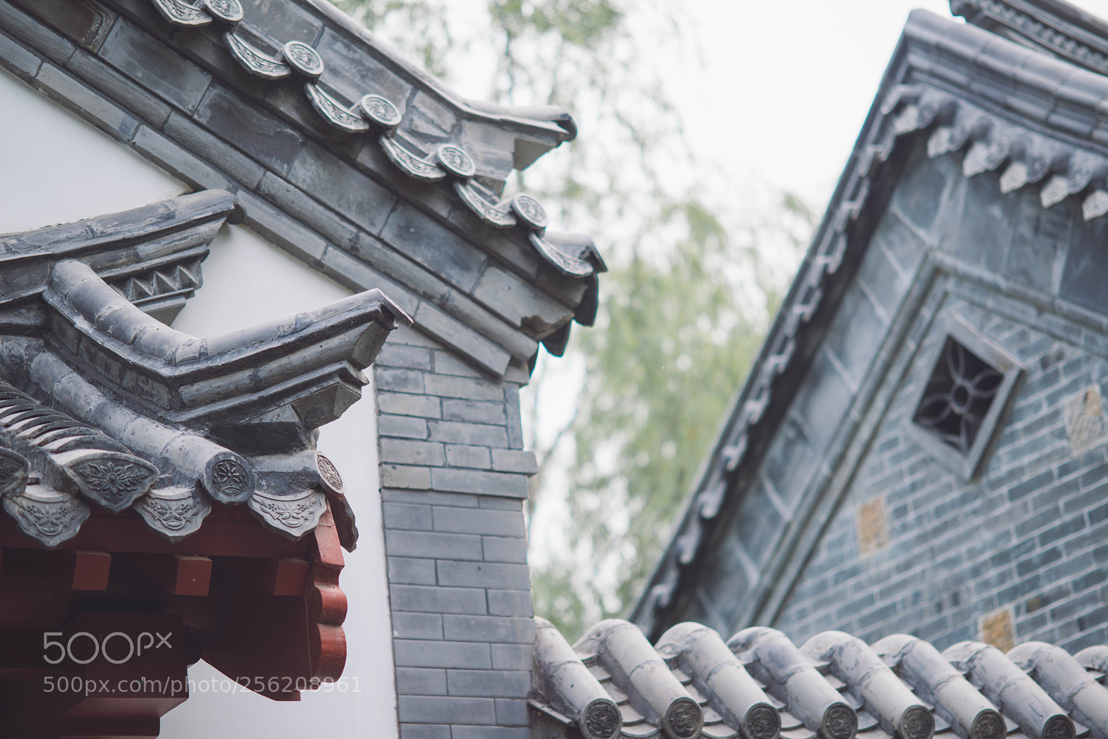 Nikon D800E sample photo. Untitled photography
