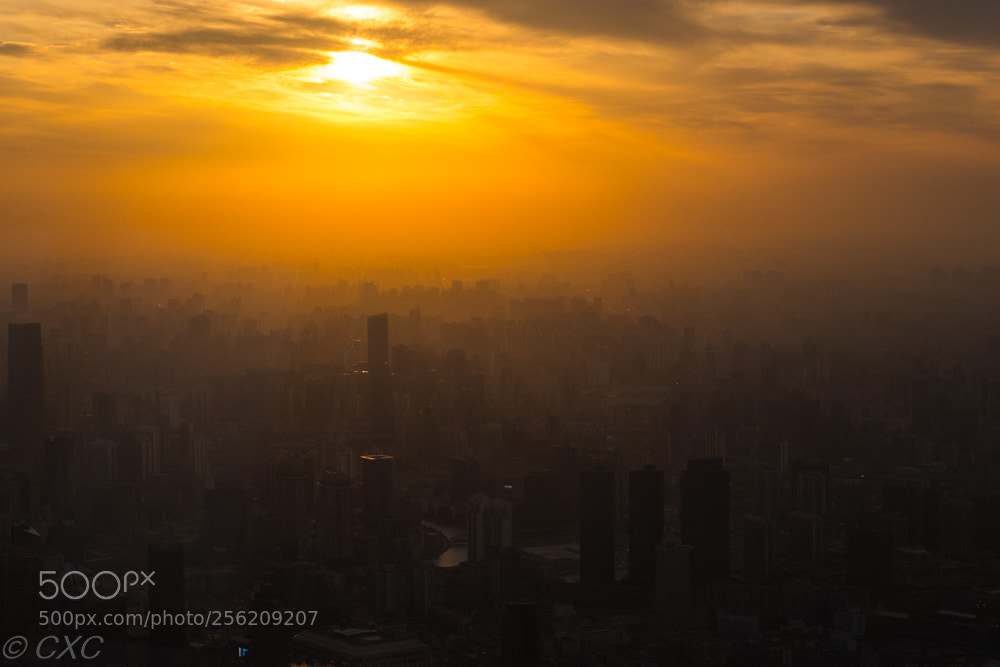 Leica Q (Typ 116) sample photo. Shanghai -8 photography