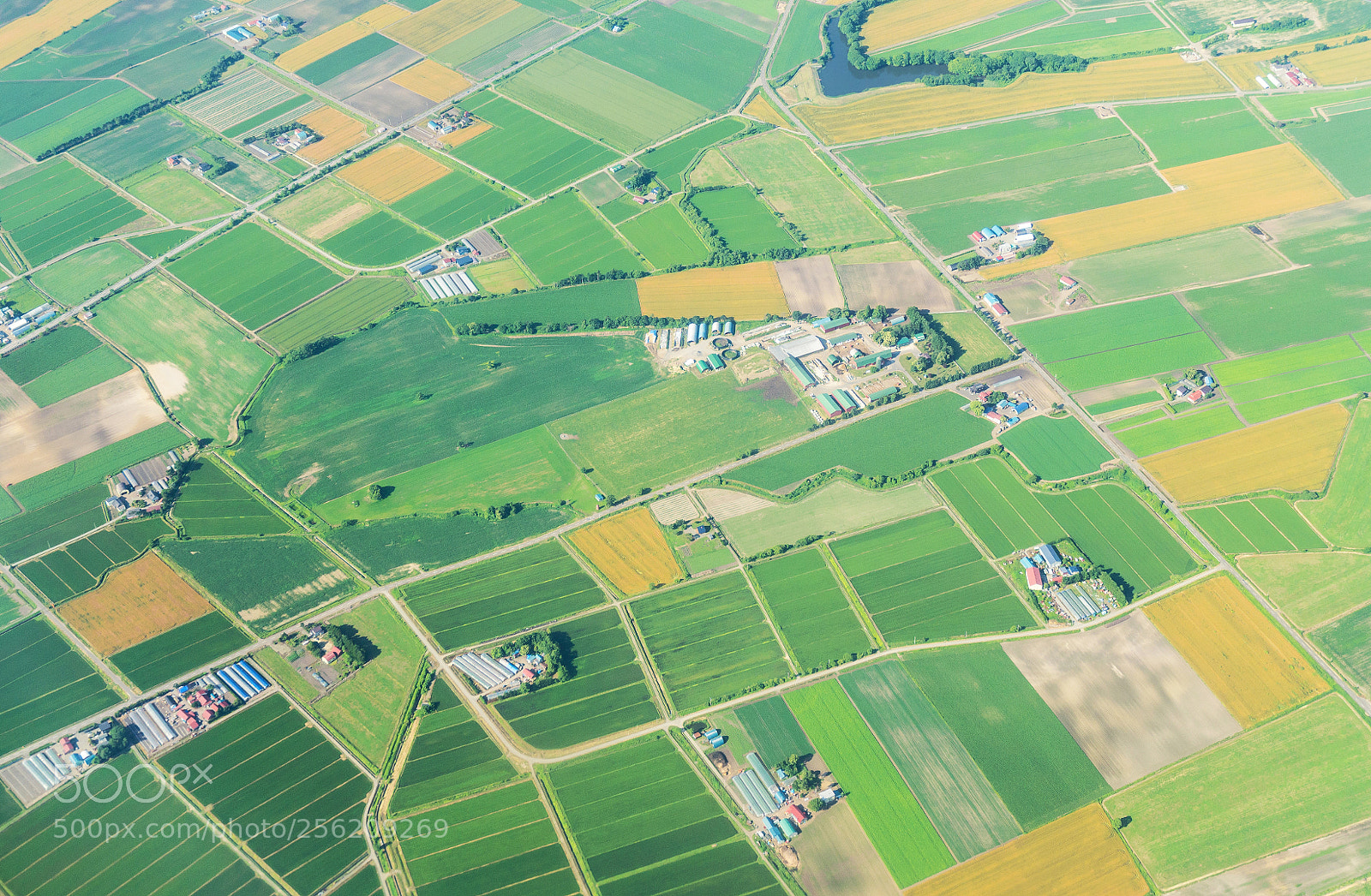 Nikon D5100 sample photo. Aerial view agriculture field photography