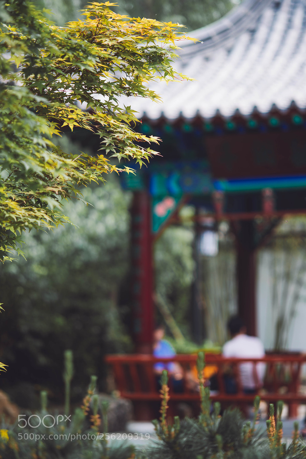 Nikon D800E sample photo. Untitled photography
