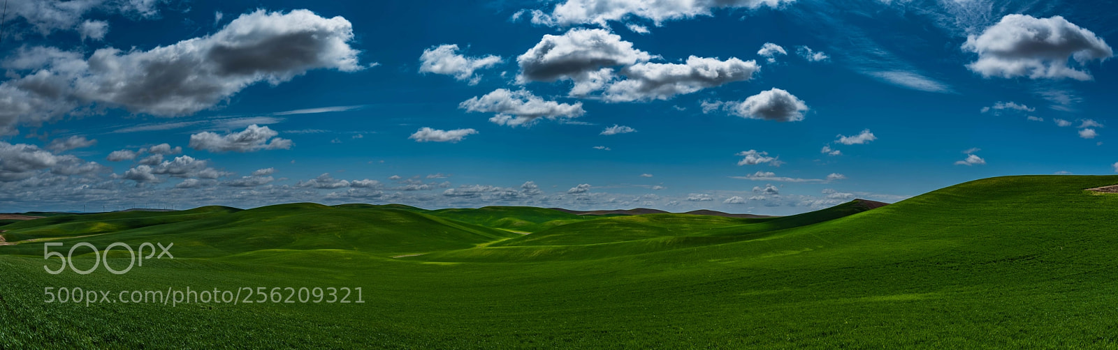 Nikon D750 sample photo. Palouse spring photography