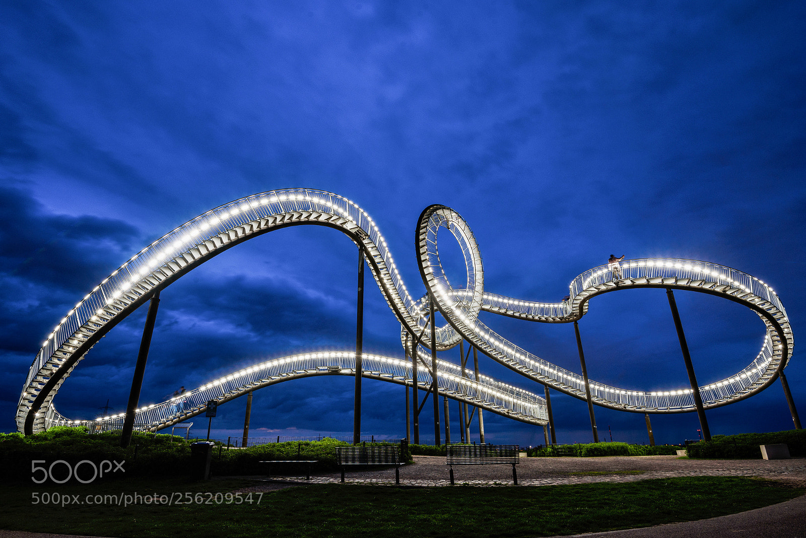 Nikon D750 sample photo. Tiger and turtle photography