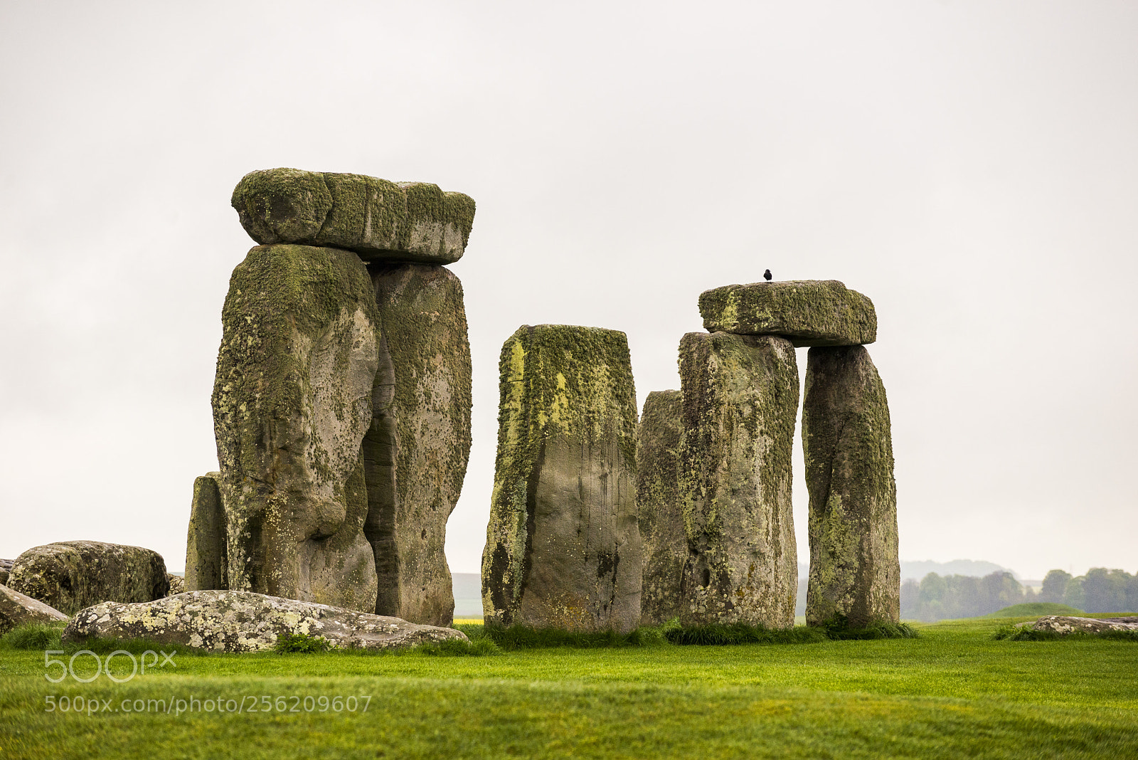 Nikon D610 sample photo. Stonehenge photography