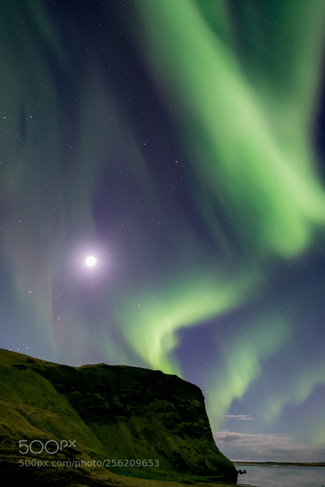 Nikon D850 sample photo. Auroras in the moonlight photography