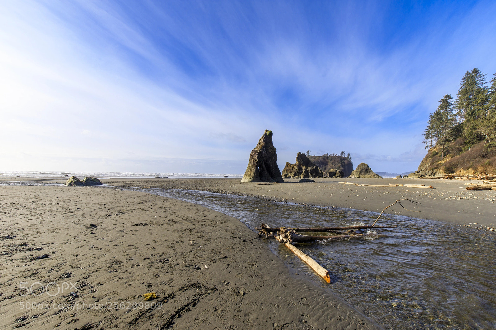 Canon EOS 6D Mark II sample photo. Remnants of a large photography