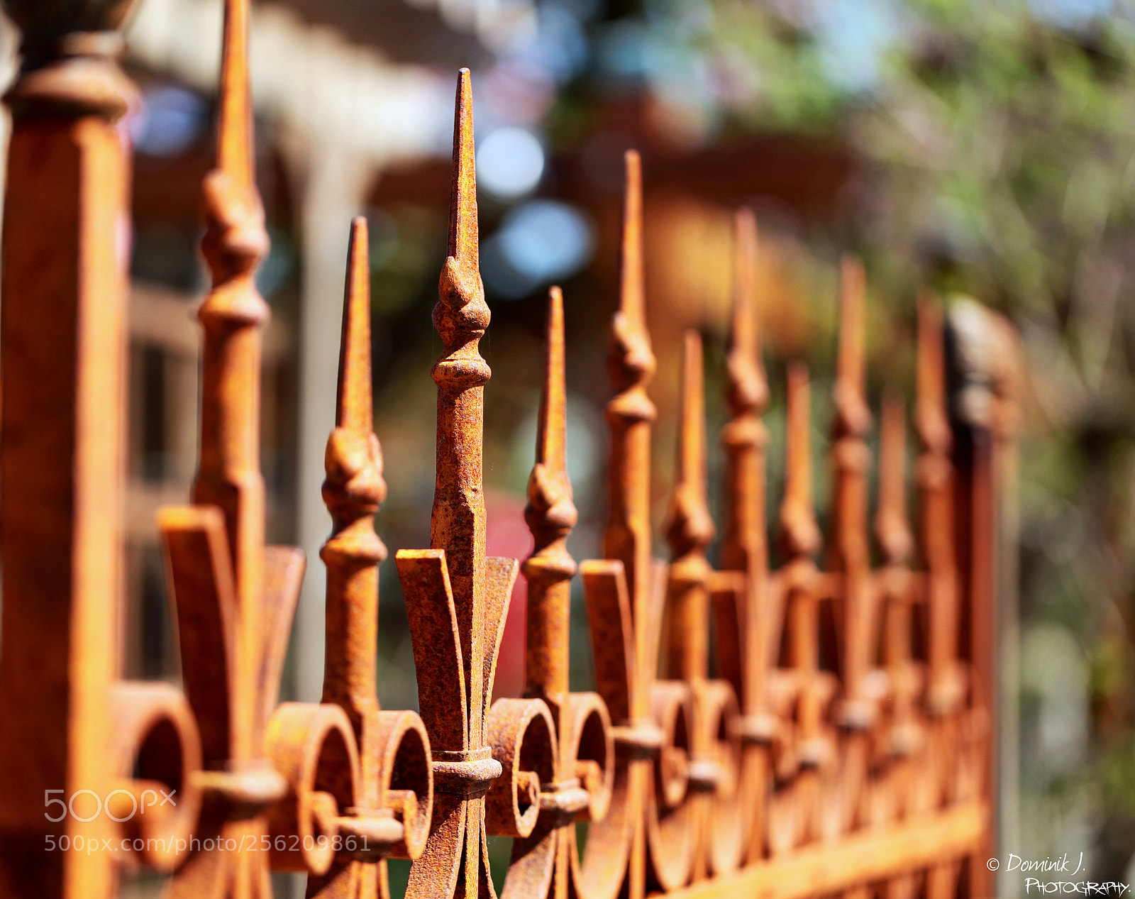 Canon EOS 5D Mark II sample photo. Love.the.focus photography