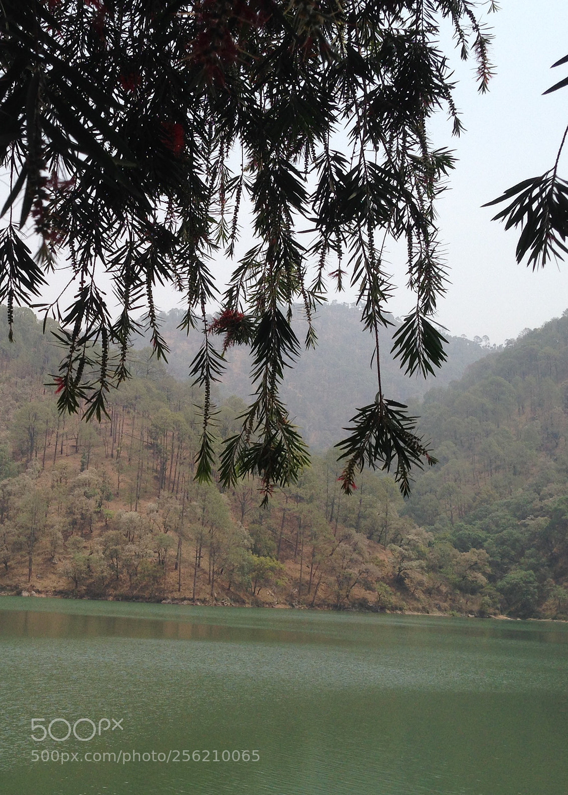 Apple iPhone 5 sample photo. Beauty of nature photography