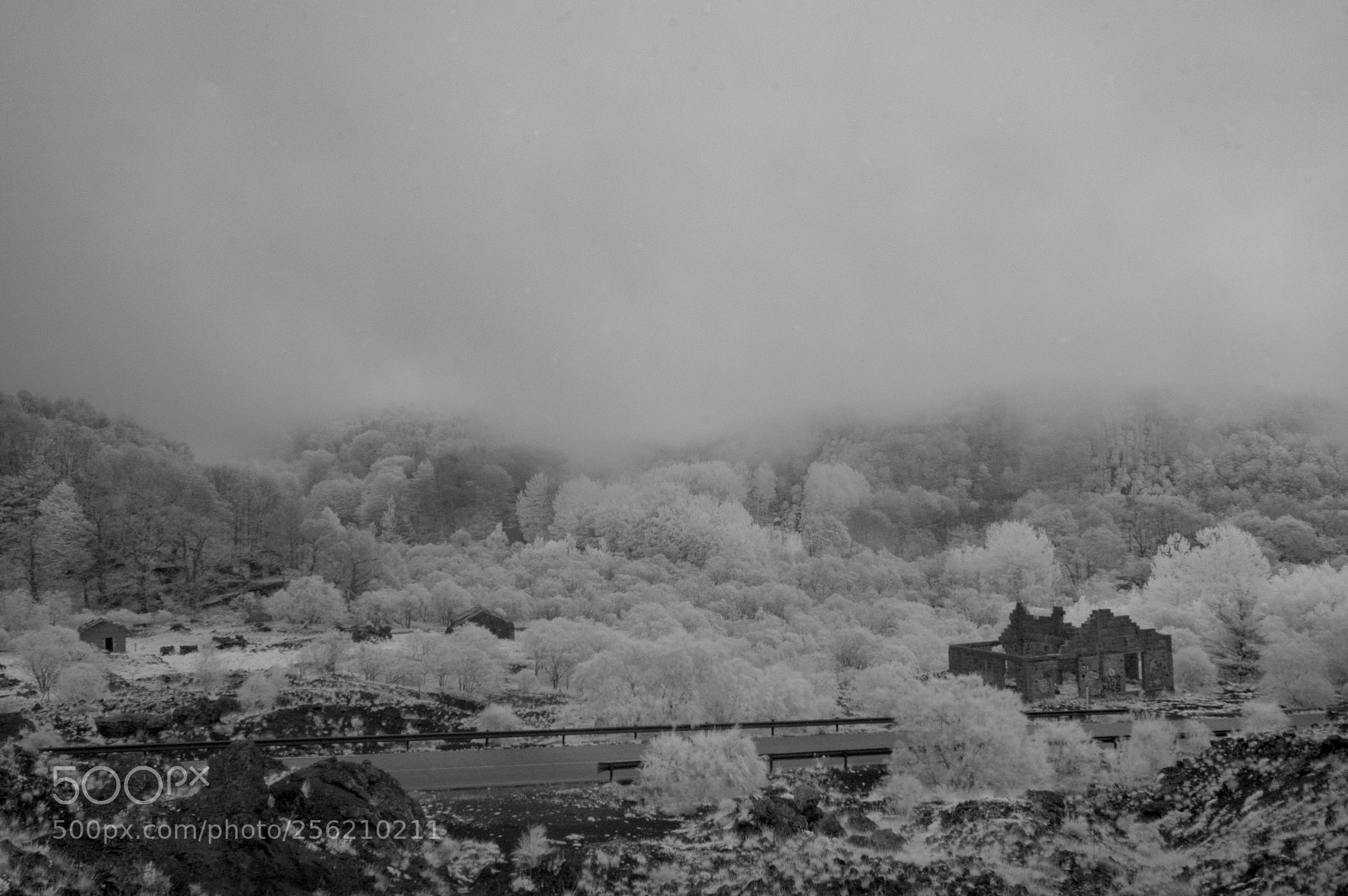 Nikon D70s sample photo. Etna infrared photography