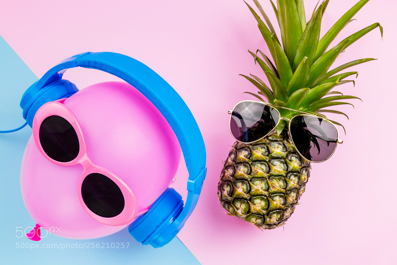 Canon EOS 6D sample photo. Fashion hipster pineapple and photography
