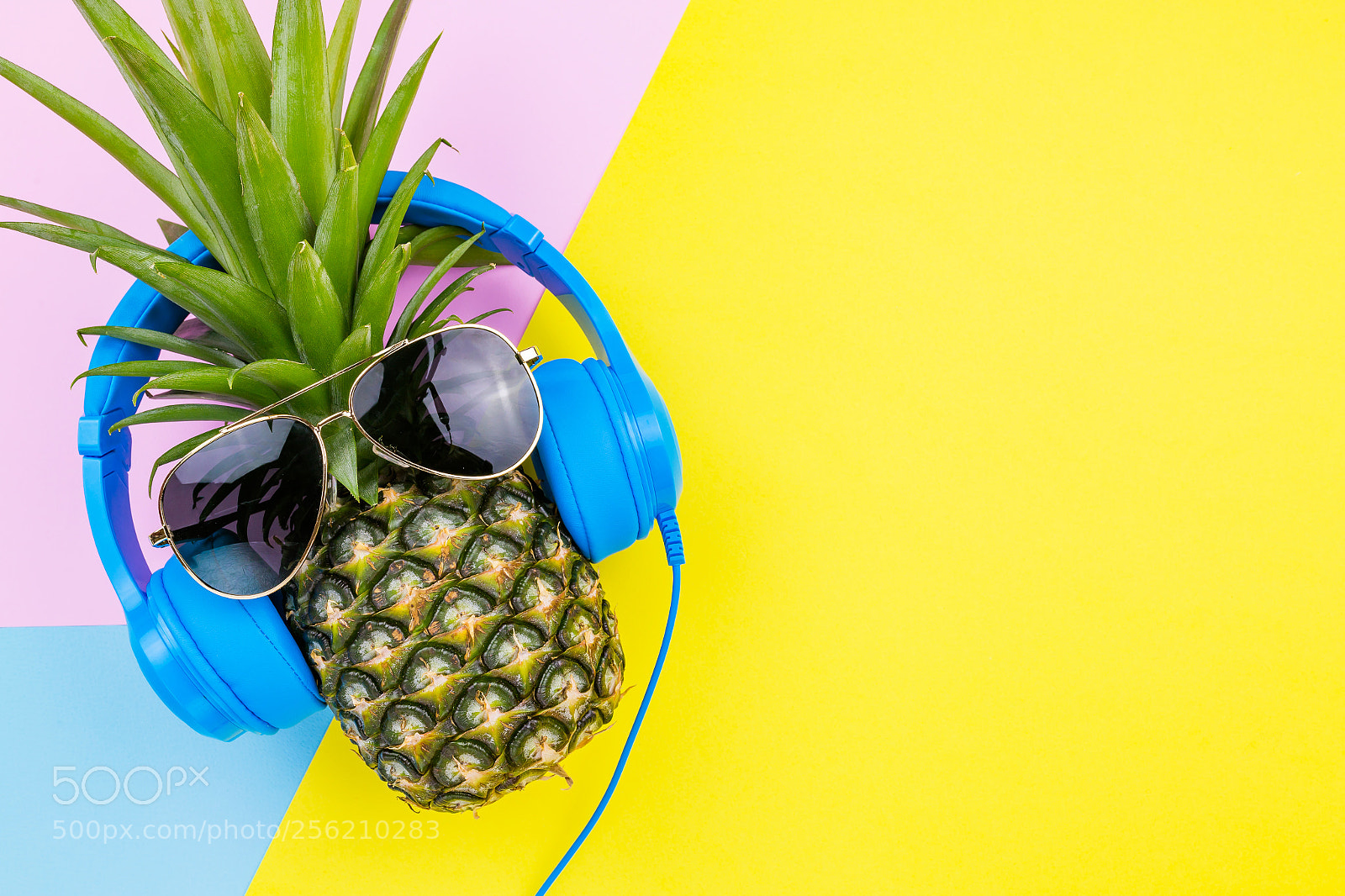 Canon EOS 6D sample photo. Fashion pineapple. bright summer photography