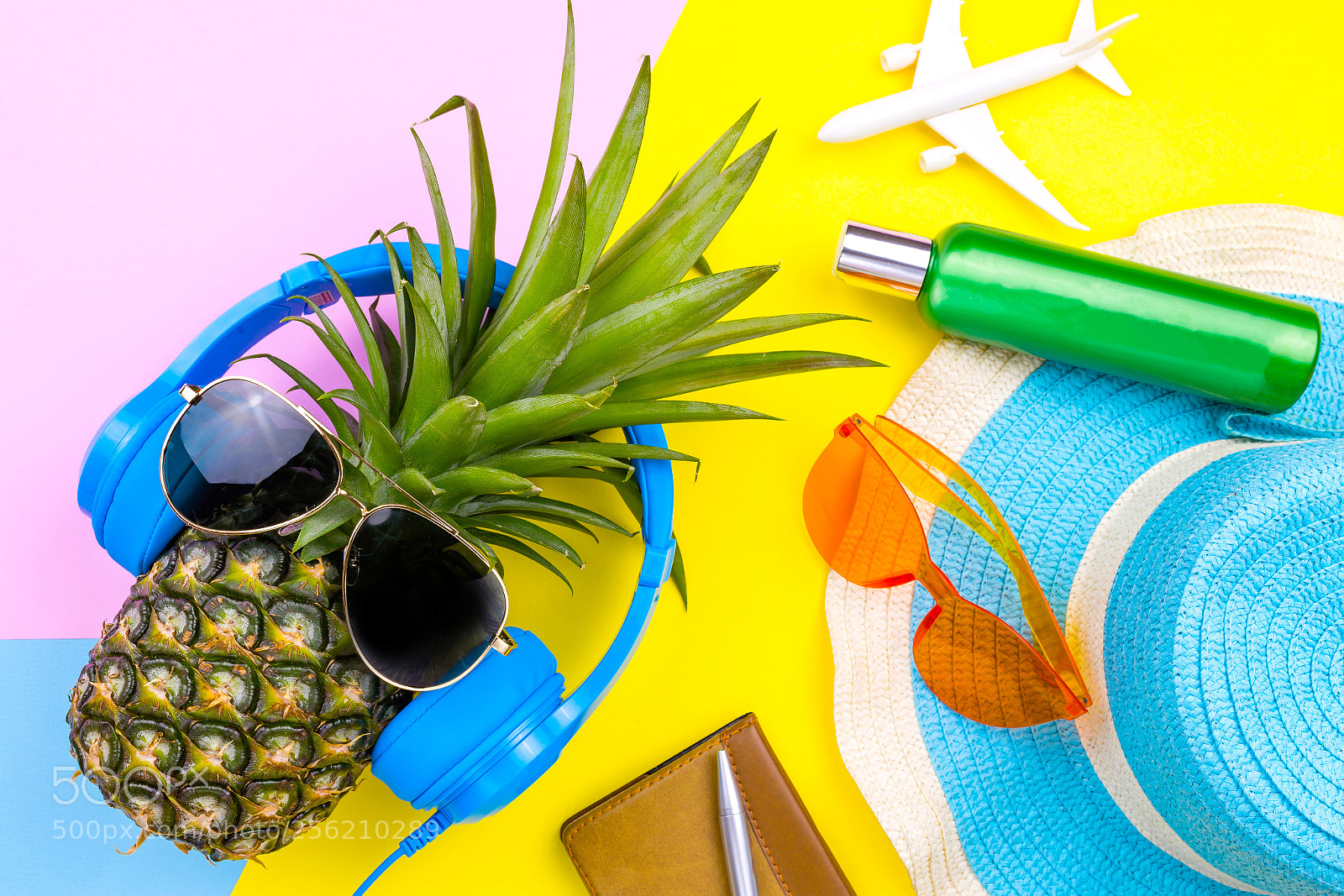 Canon EOS 6D sample photo. Fashion pineapple. bright summer photography