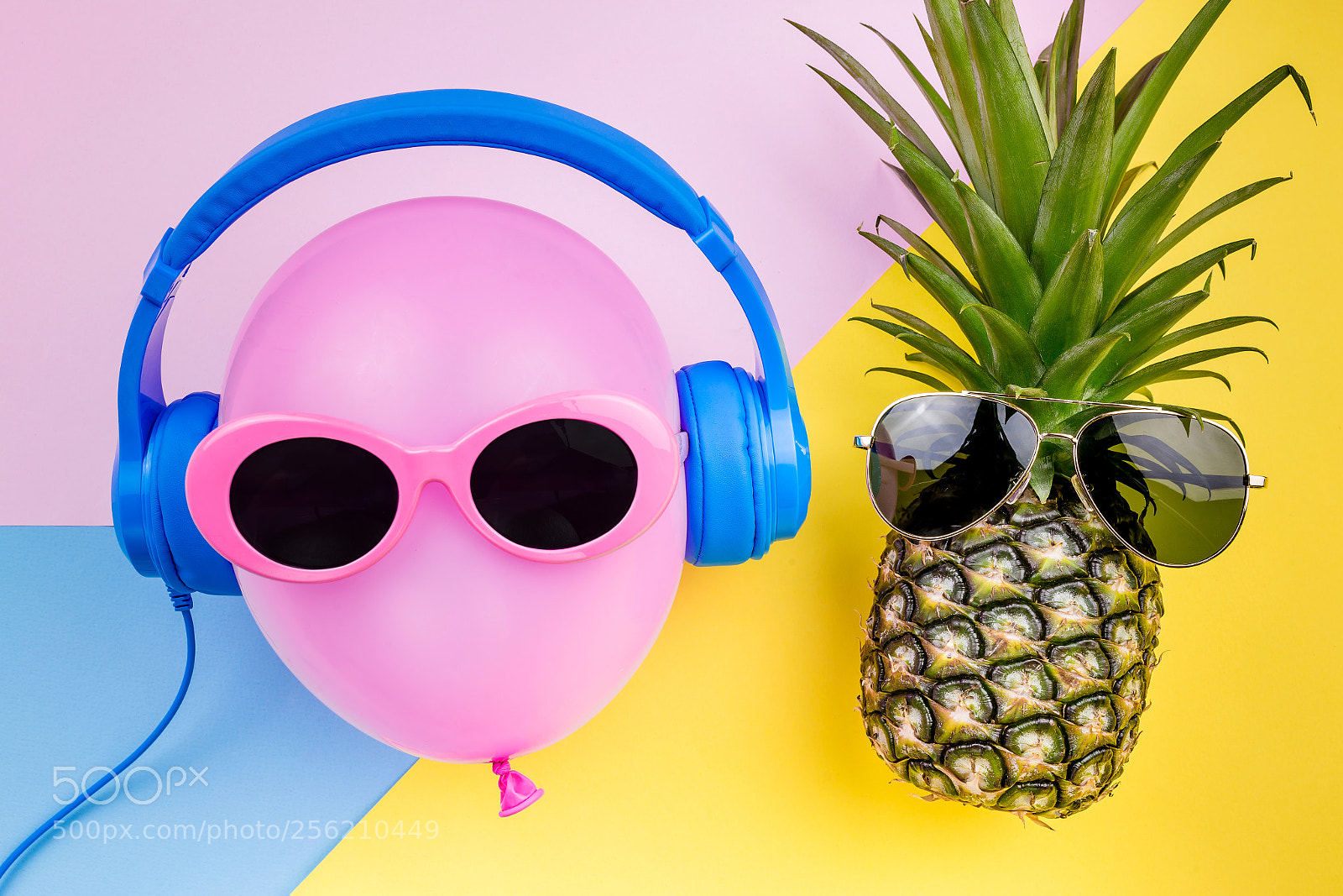 Canon EOS 6D sample photo. Fashion hipster pineapple and photography