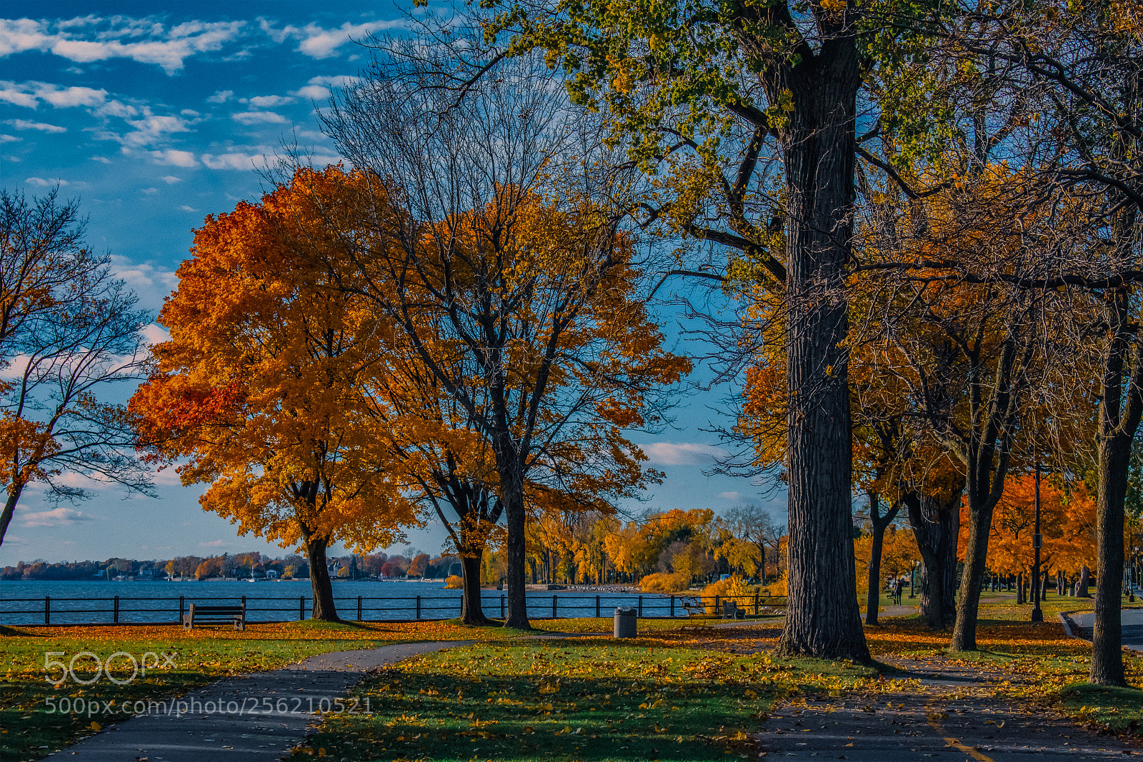 Nikon D3400 sample photo. Looking south photography