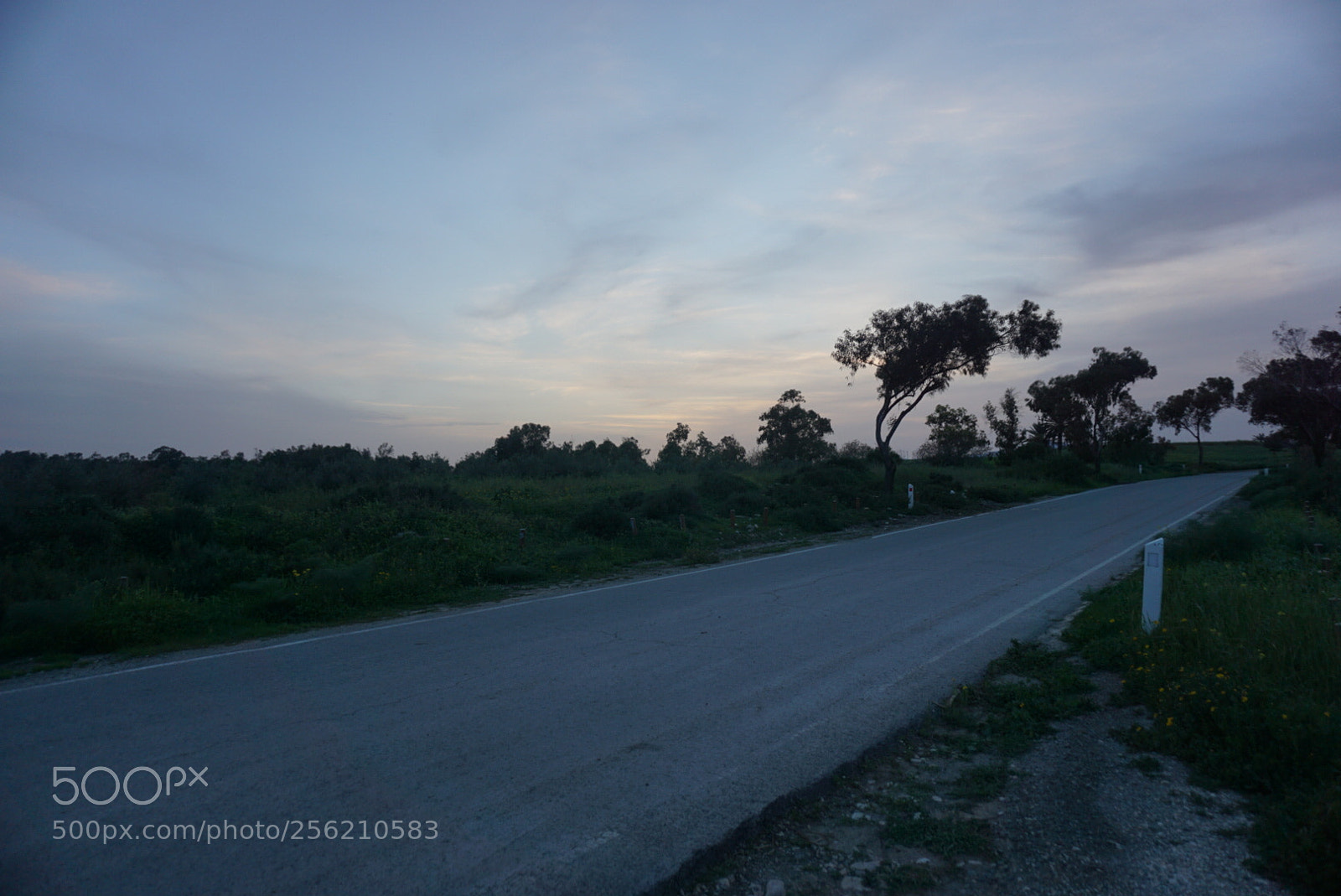 Sony a6000 sample photo. Untitled photography