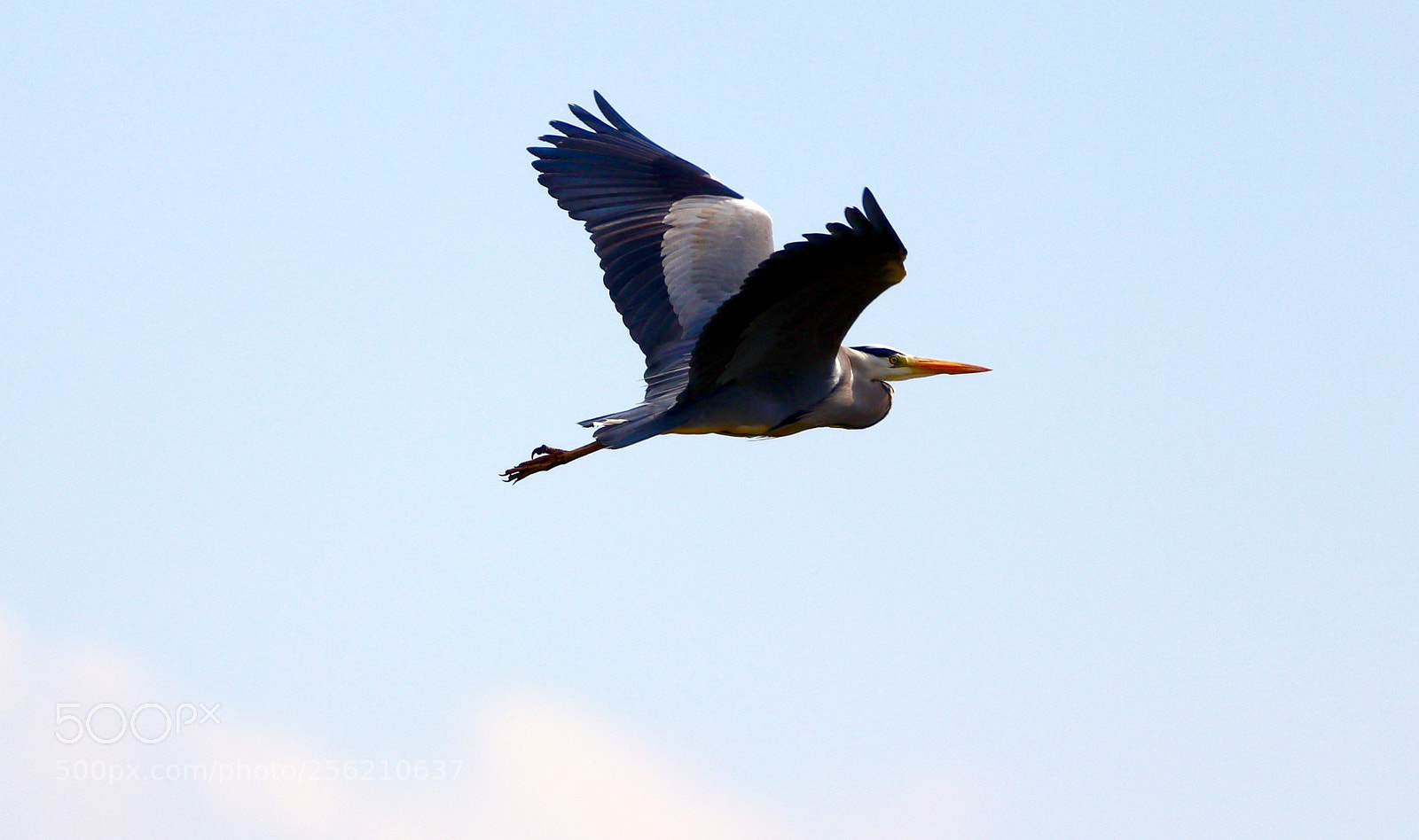 Canon EOS 77D (EOS 9000D / EOS 770D) sample photo. In the air photography