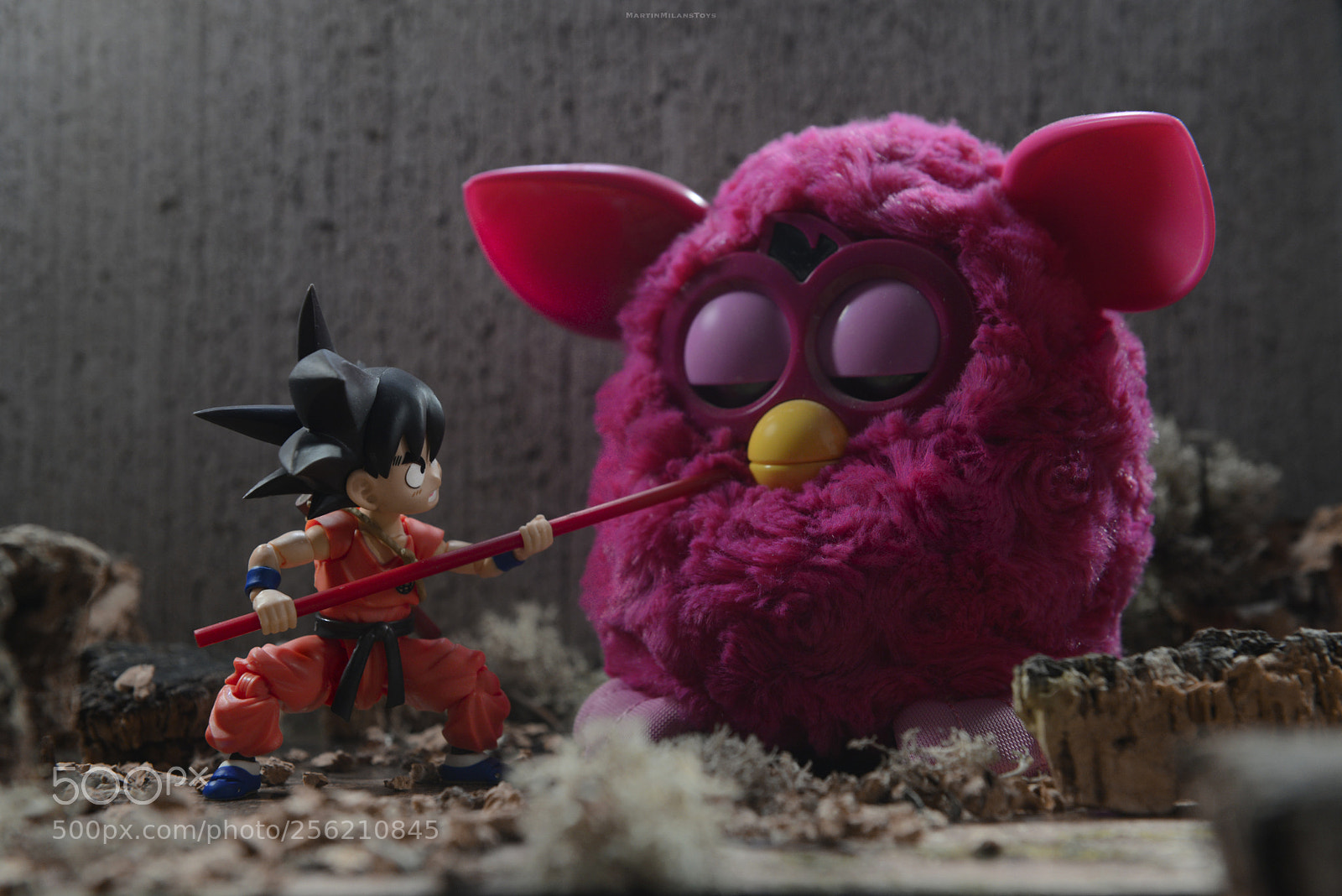 Nikon D600 sample photo. Bulma?? photography