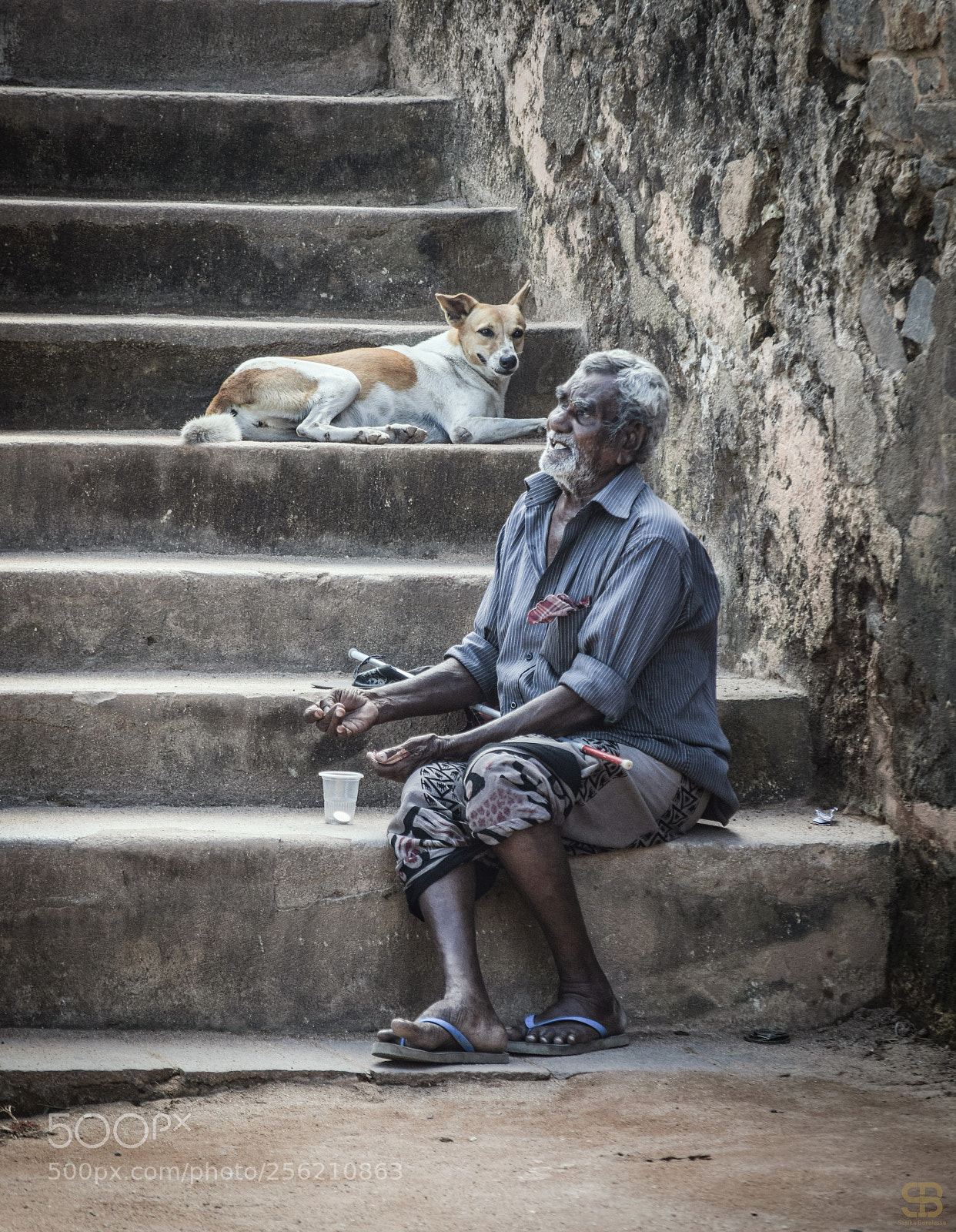 Nikon D3300 sample photo. Caption? photography