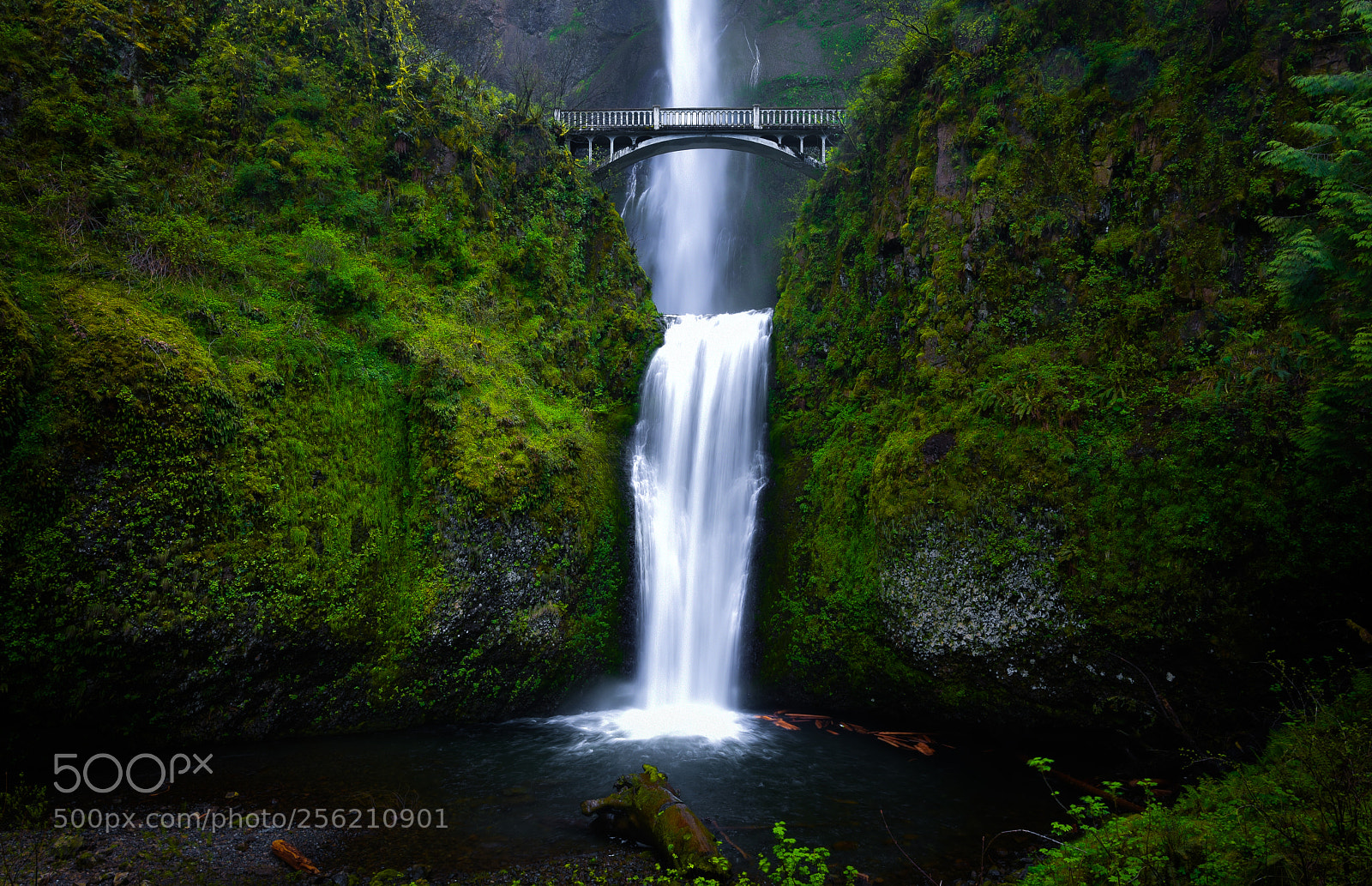 Nikon D750 sample photo. Multnomah falls ii photography