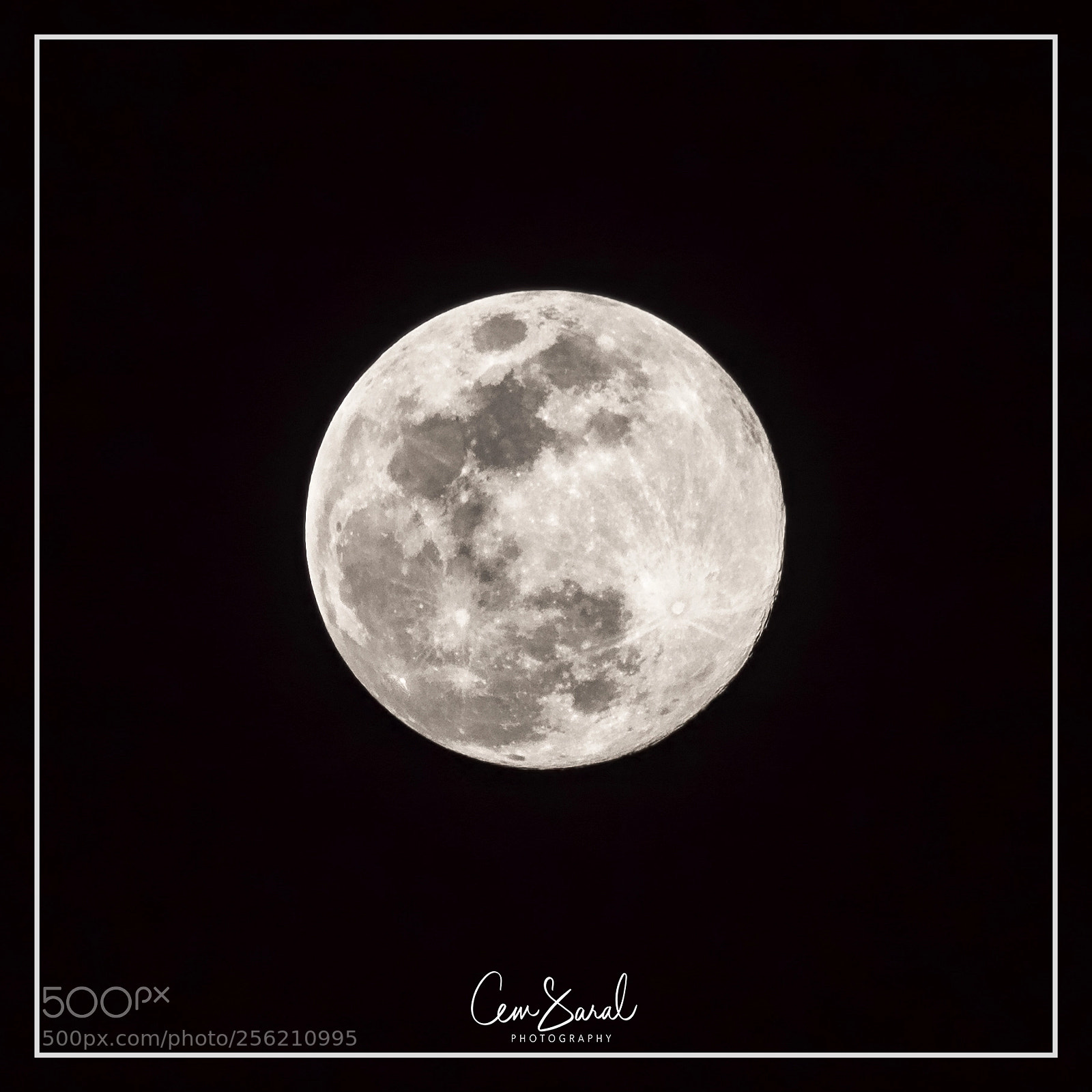 Sony Cyber-shot DSC-RX10 IV sample photo. Fullmoonframe photography