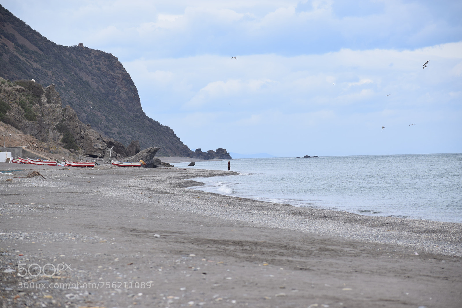 Nikon D3300 sample photo. Nikon d3310 photography
