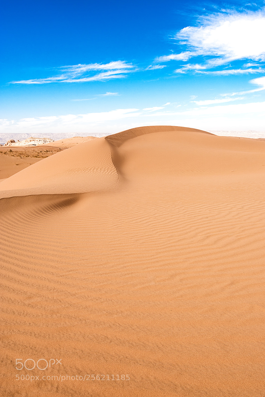 Sony ILCA-77M2 sample photo. Desert sea photography