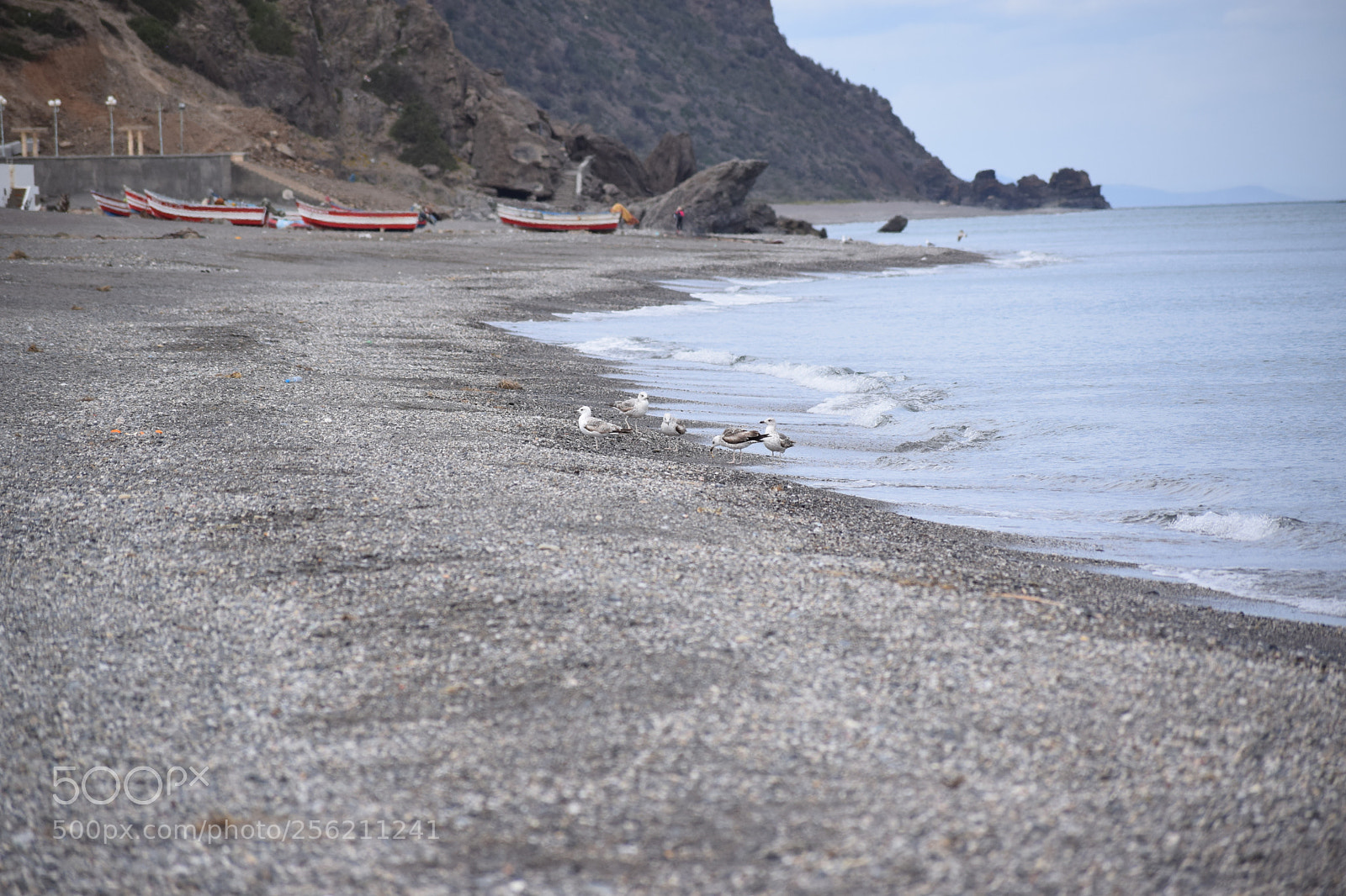 Nikon D3300 sample photo. Nikon d3310 photography