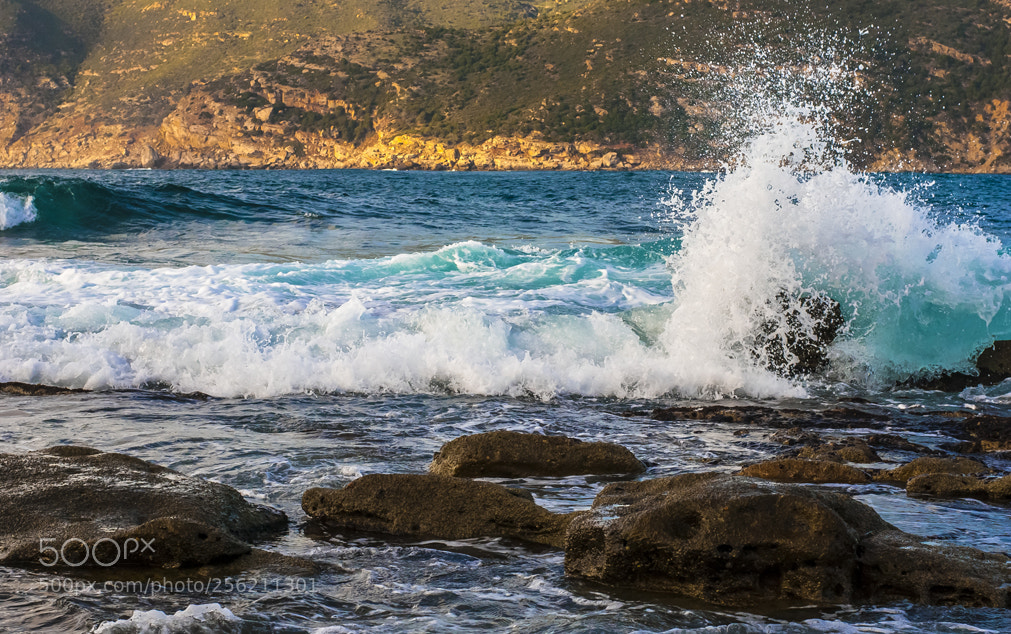 Nikon D60 sample photo. Waves photography