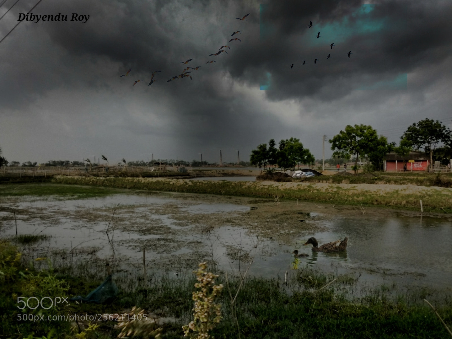Xiaomi Redmi Note 5 sample photo. Just before the storm photography