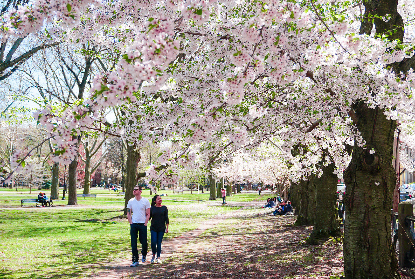 Sony a6300 sample photo. Couple admiring the cherry photography