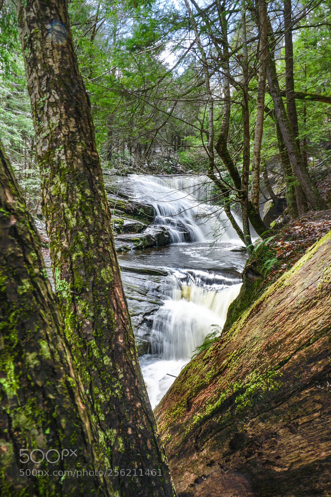 Sony a6300 sample photo. Enders falls through the photography
