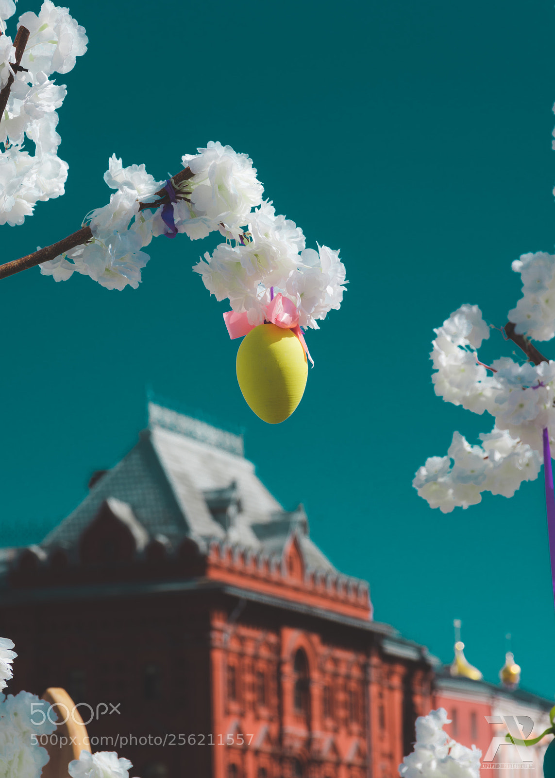 Nikon D7200 sample photo. Easter egg photography