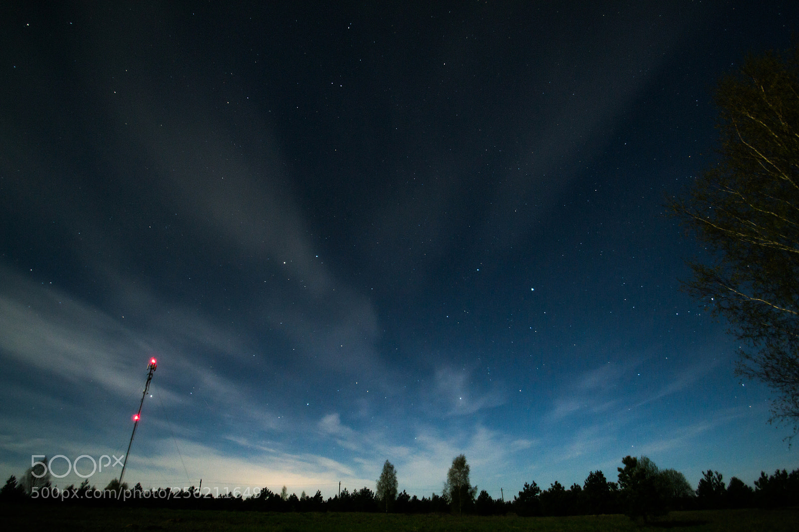 Nikon D3100 sample photo. Stars... photography