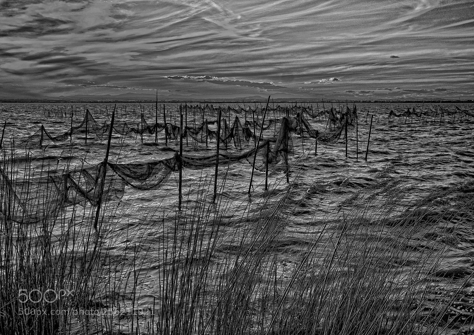 Nikon D300 sample photo. Wind photography