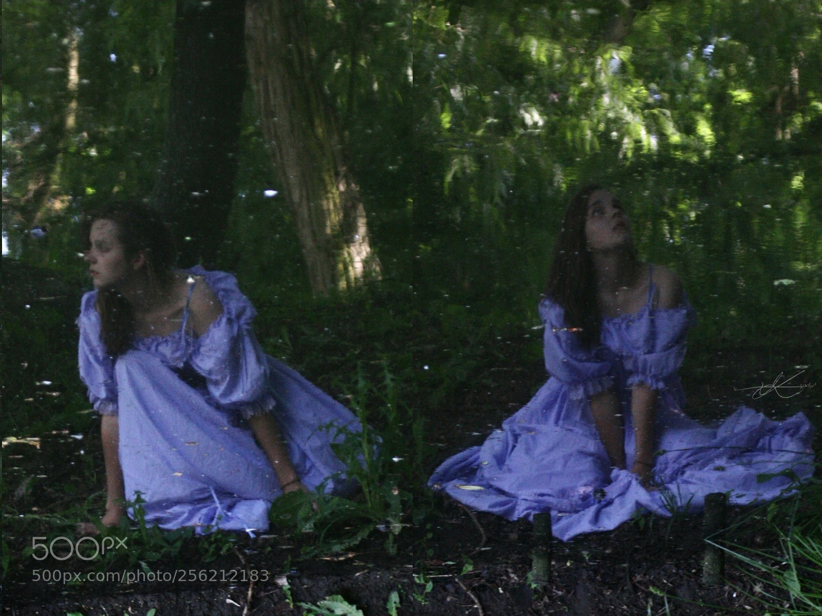 Canon EOS 20D sample photo. Untitled photography