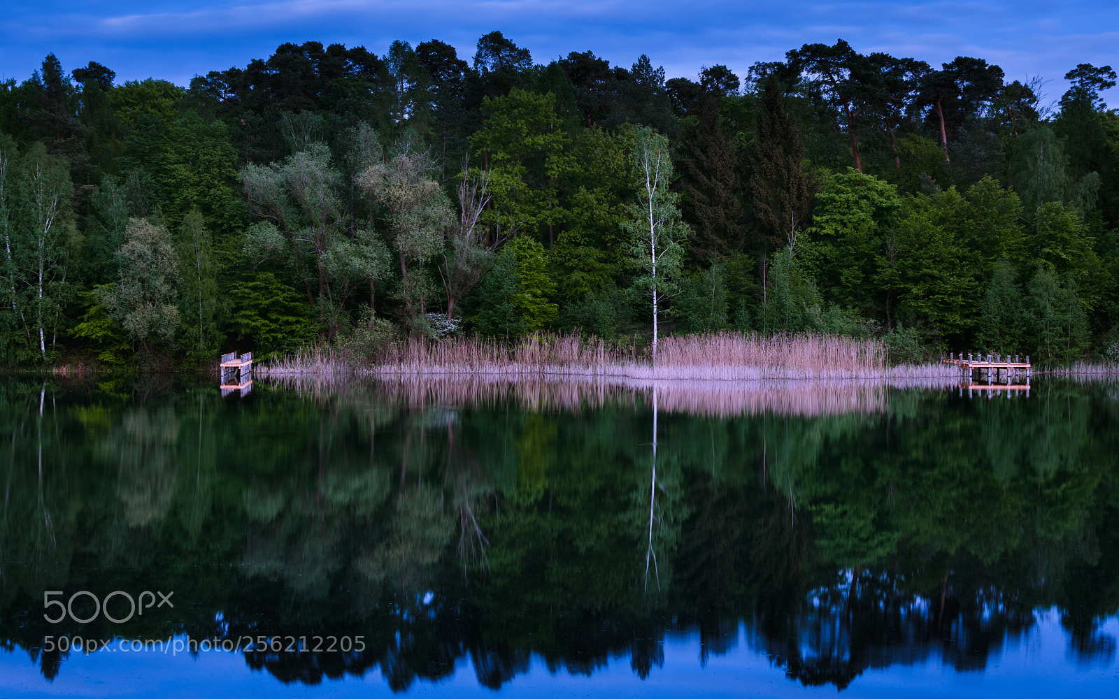 Nikon D5500 sample photo. Lake view photography