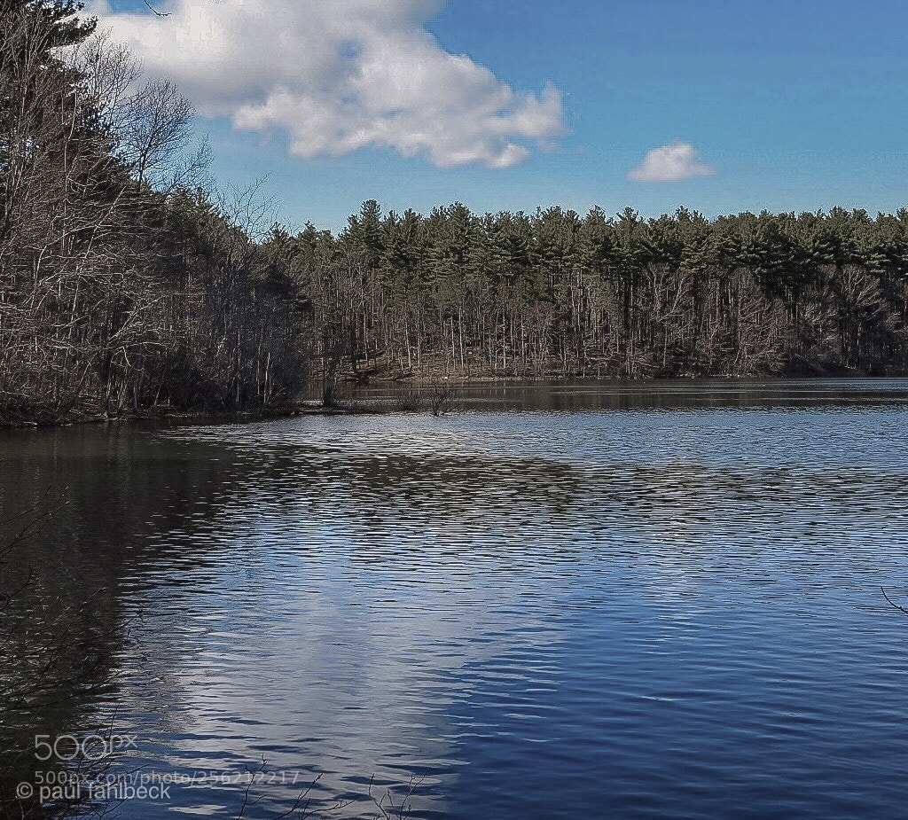 Nikon D7200 sample photo. Afternoon hike photography