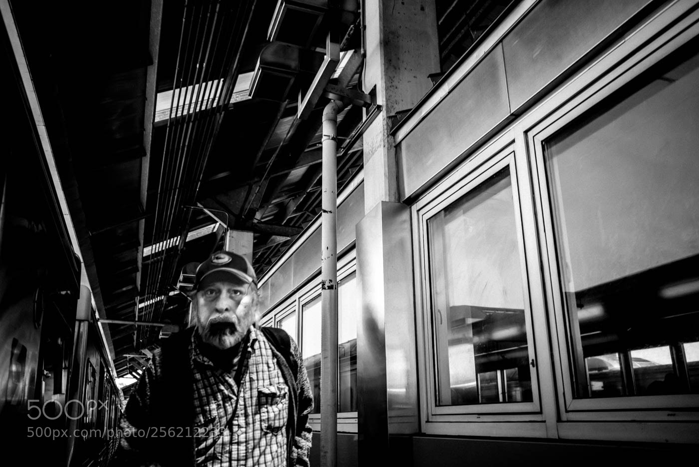 Leica M (Typ 240) sample photo. 05-18--11.jpg photography
