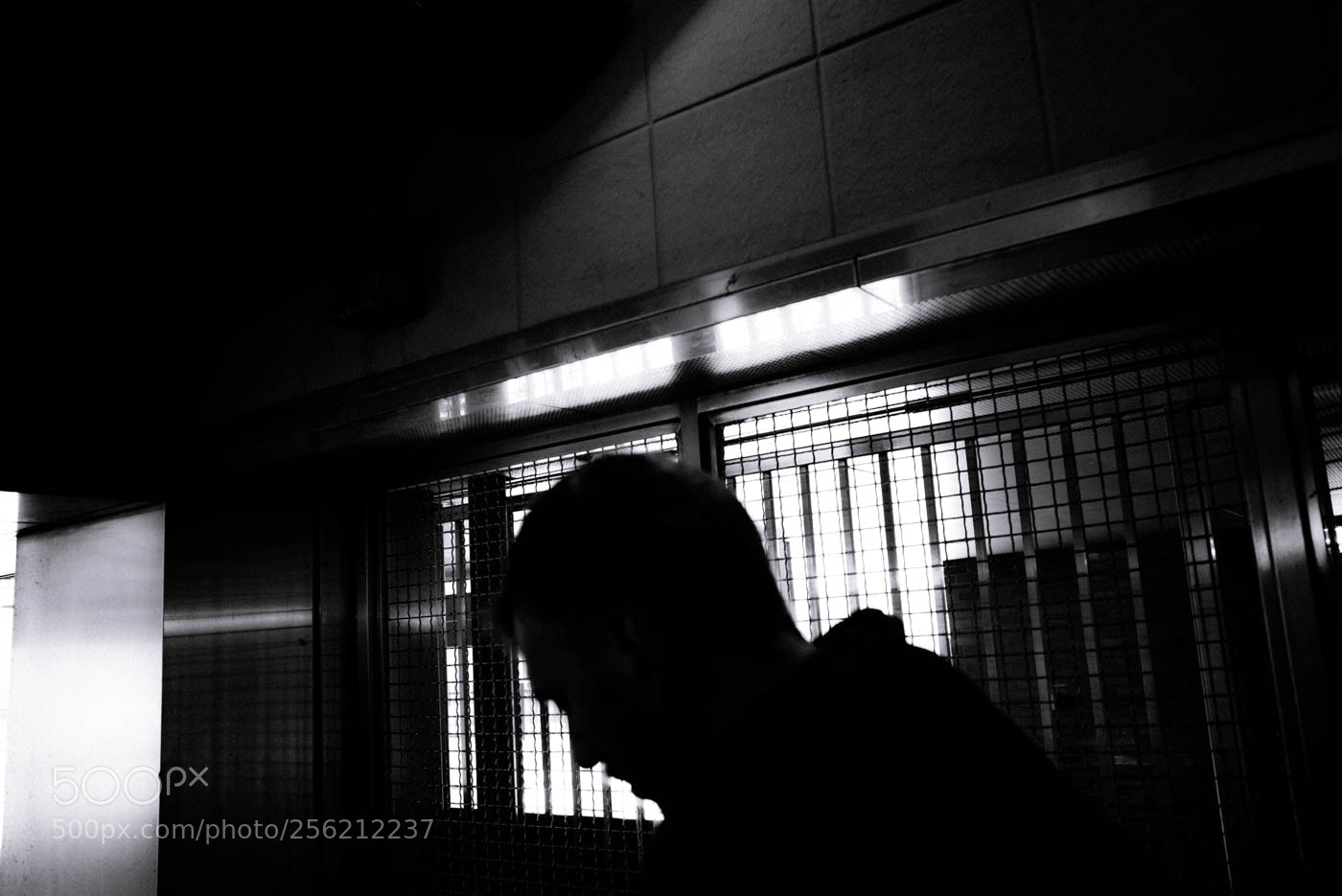 Leica M (Typ 240) sample photo. 05-18--12.jpg photography