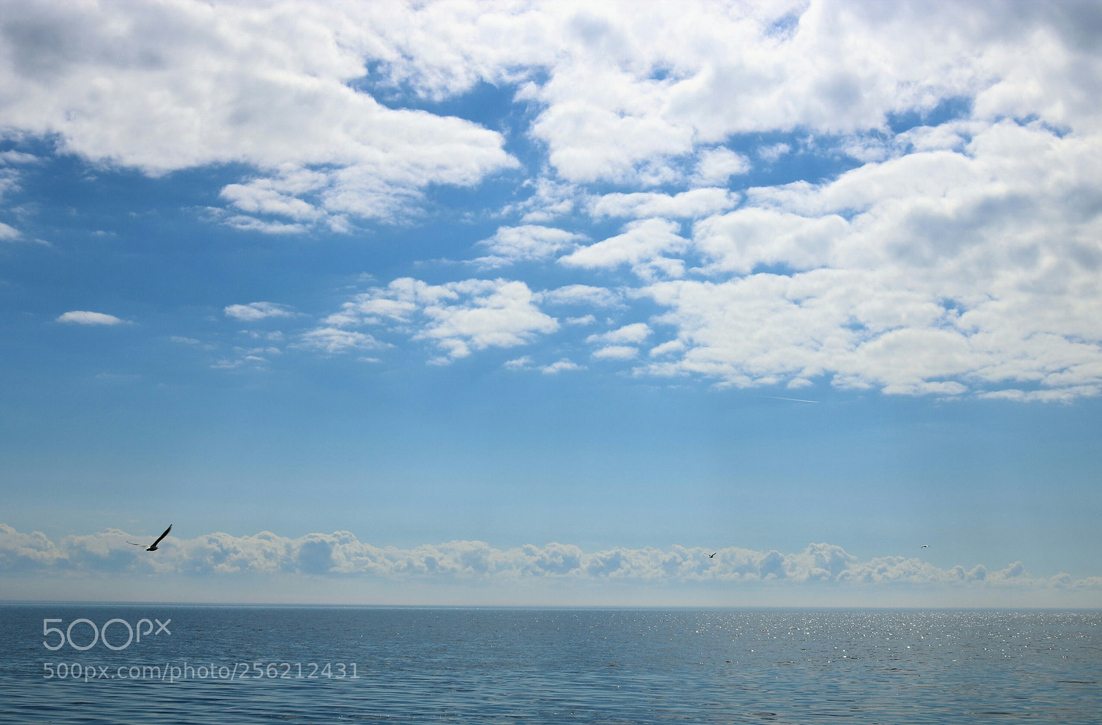Canon EOS 750D (EOS Rebel T6i / EOS Kiss X8i) sample photo. Untitled photography