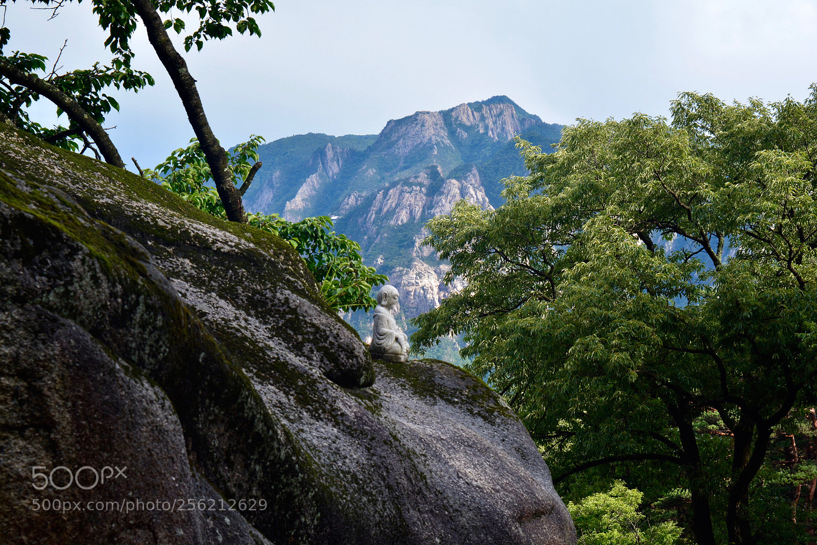 Nikon D5200 sample photo. Buddha in the mountain photography