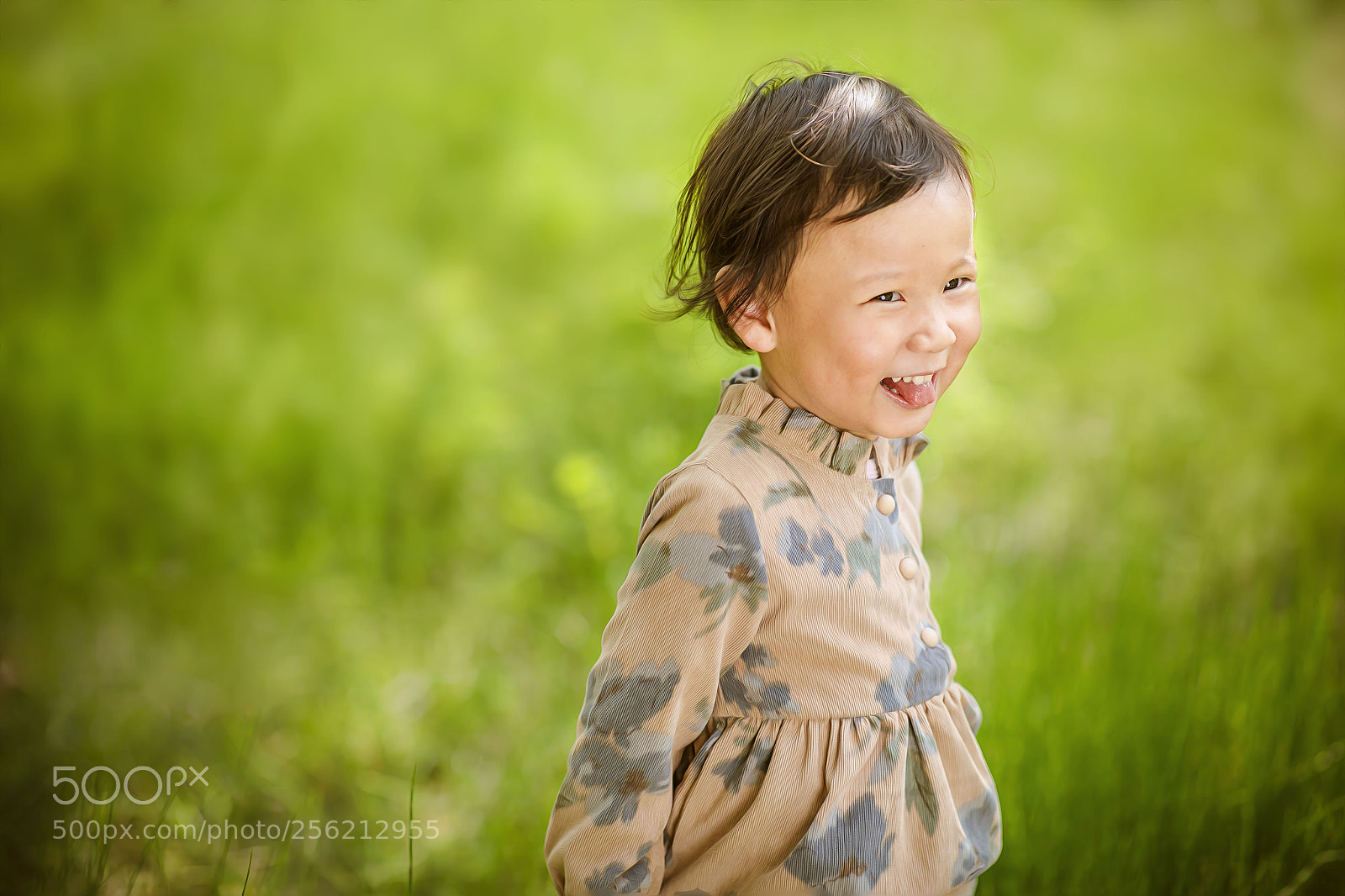 Canon EOS 5D Mark IV sample photo. Untitled photography