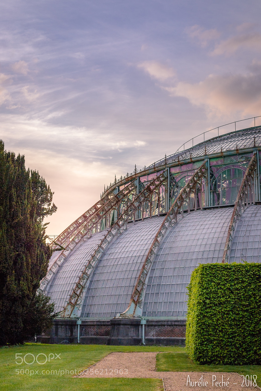 Canon EOS 6D Mark II sample photo. Serres royales de laeken photography